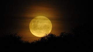 Última superluna del 2020