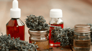 Cannabis: el Gobierno legalizó el autocultivo para uso medicinal