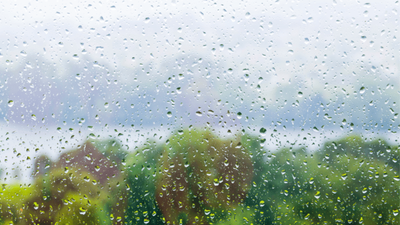 Las lluvias en todas las localidades de La Pampa