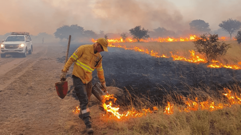 Temporada alta de incendios forestales