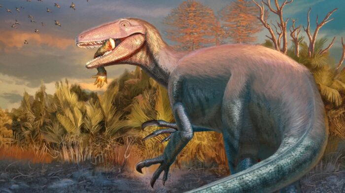 Un nuevo gigante patagónico: el Joaquinraptor