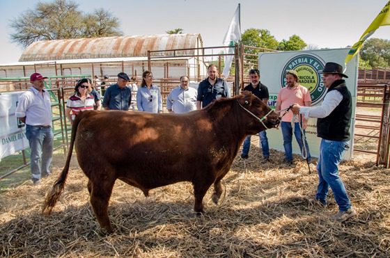 Comenzó la 99ª Exposición Rural de Santa Rosa
