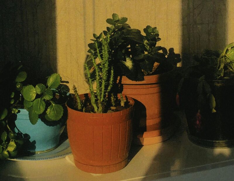 Tu “mundito” importa: pequeños hábitos para un nuevo año