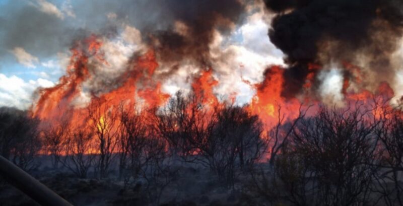 Alerta extrema en La Pampa: Defensa Civil pide máxima precaución por incendios rurales