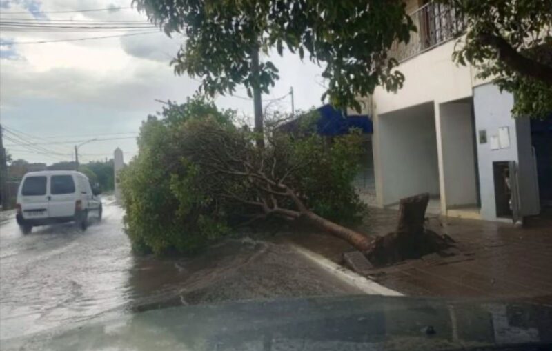 Destrozos en Acha por la tormenta