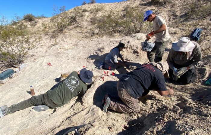 70 millones de años