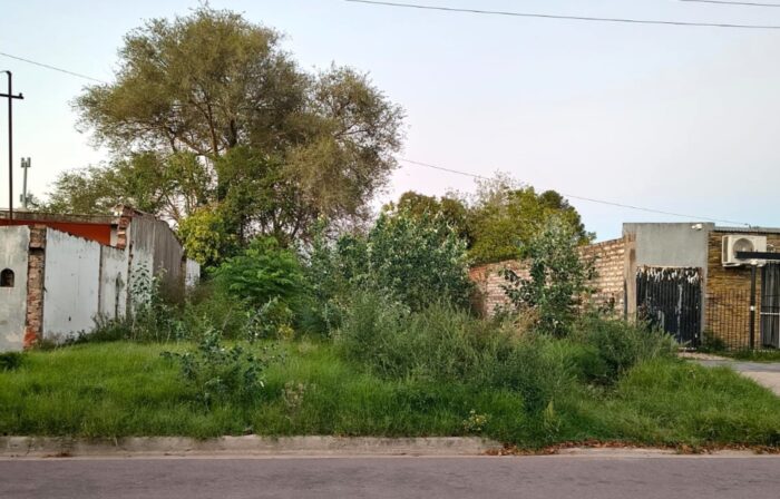 Le quitarán un terreno a la Fundación Lucio Dupuy