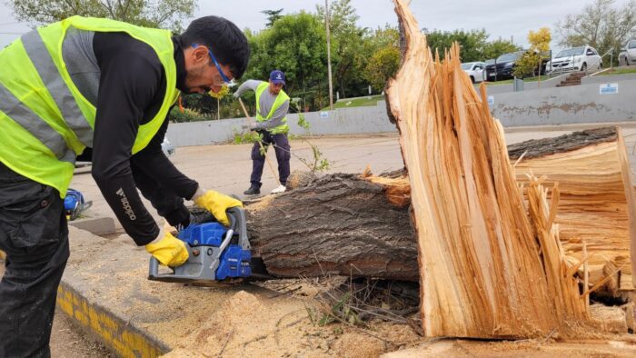 Sigue la reconstrucción de Santa Rosa tras el temporal