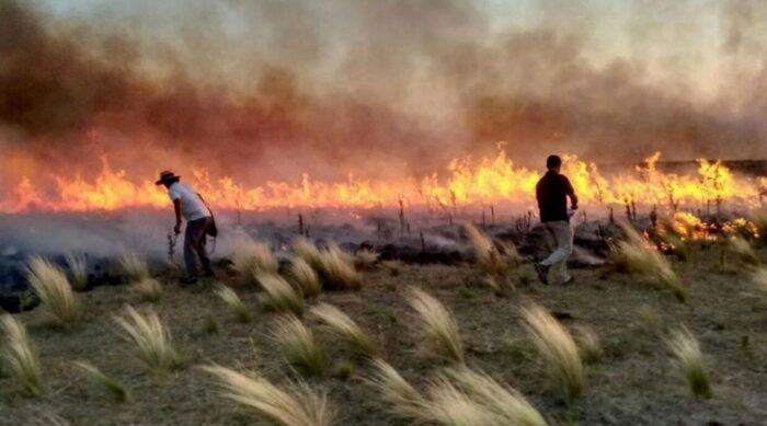 Incendios forestales