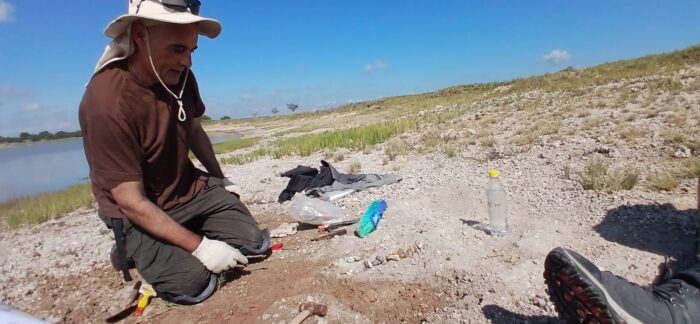 Encuentras fósiles de mamíferos de entre 5 y 7 millones de años en Rolón