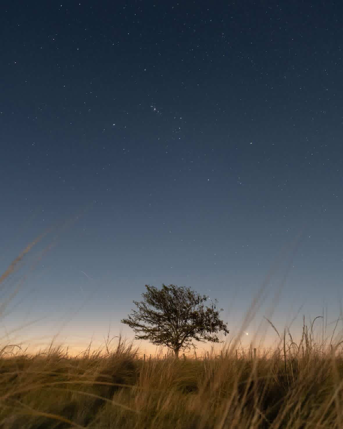Crepúsculo