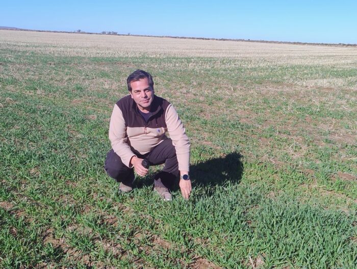 Alfalfa desde 25 de Mayo a Emiratos Árabes