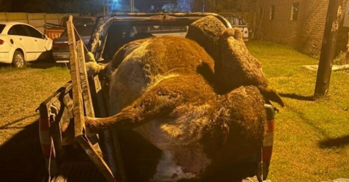 La Agrícola pide más seguridad rural por casos de abigeato