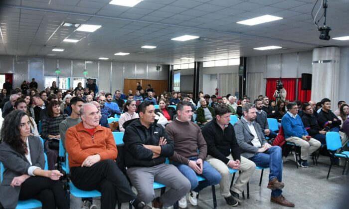Medanito