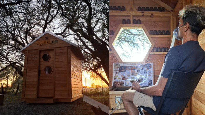 Api-inhalación, la innovadora apuesta de una pampeana que une apicultura, bienestar y turismo rural