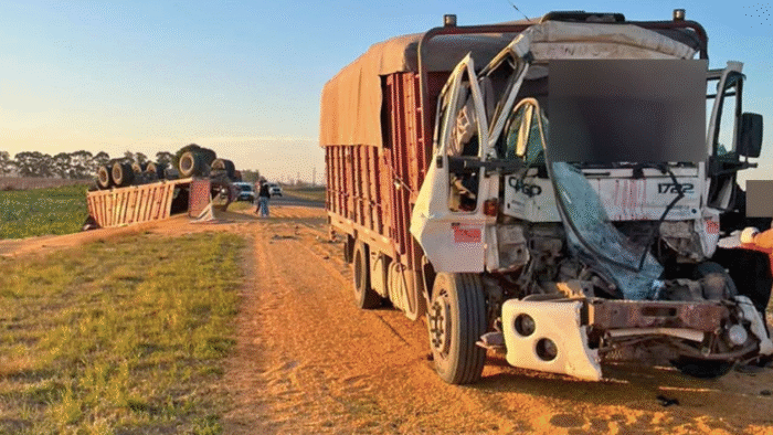 Tragedia en la Ruta 1: murió un camionero tras chocar cerca de Quemú Quemú