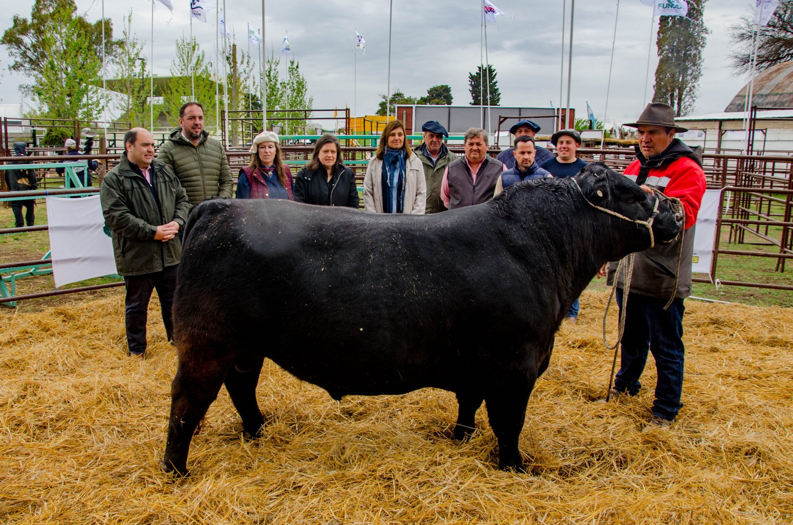 Comenzó el ingreso de reproductores para la histórica 100ª Exposición Rural de Santa Rosa