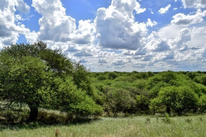La Pampa envió un proyecto de Ley de Tierras Rurales a la Legislatura 